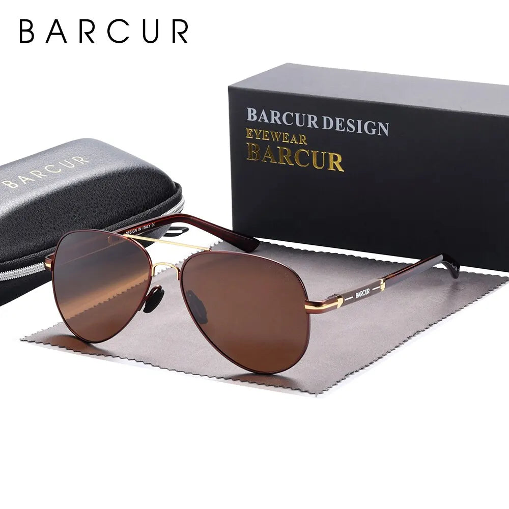 Men's Polarized Aviator Sunglasses